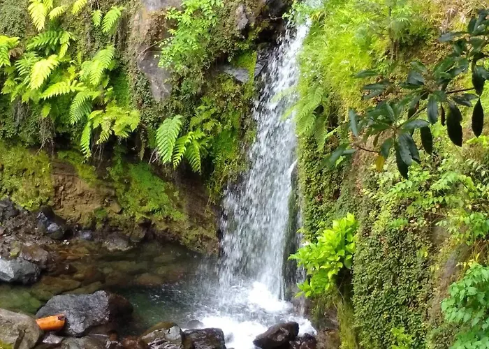 Гостевой дом Da *