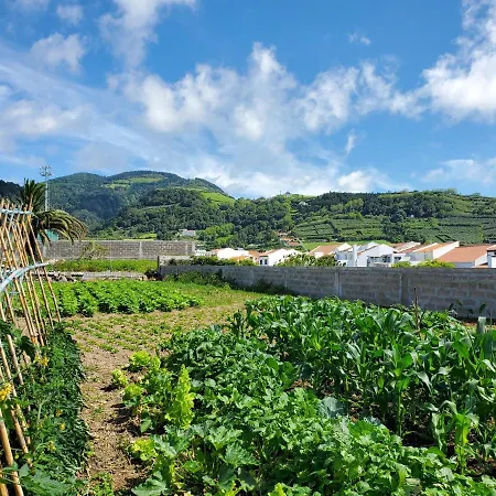 Da * Vila Franca do Campo